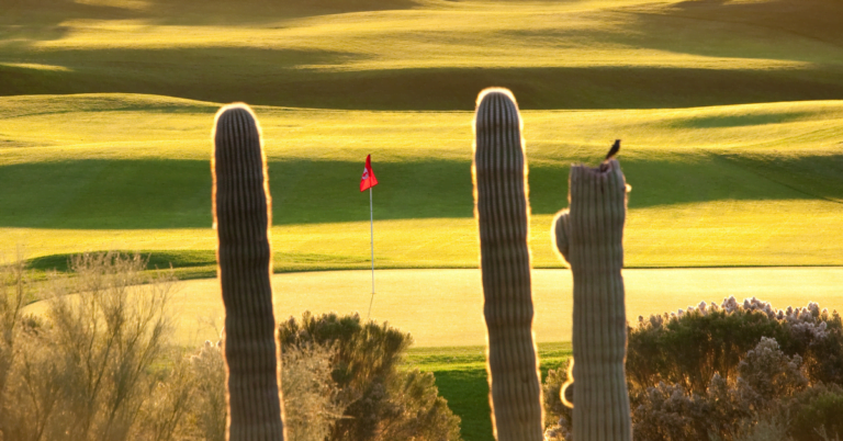 Golf flag and green on a desert golf course.